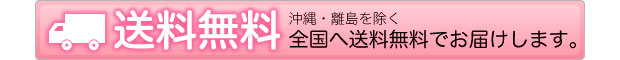 送料無料(沖縄・離島を除く)